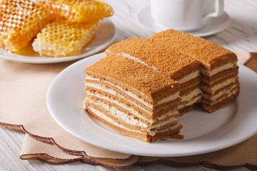 Beautiful close-up of honey cake and honeycomb. horizontal
