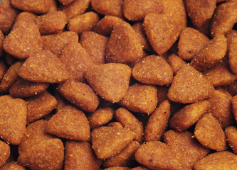 Dry dog food background, close up, close up shot
