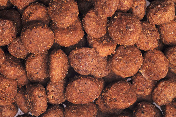 Dry dog food close up, close up shot