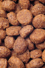 Dry dog food close up, isolated on white background