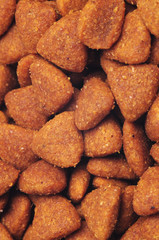 Dry dog food close up, background