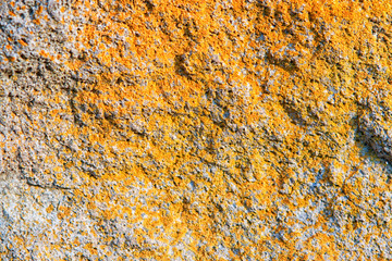 Old stone wall texture