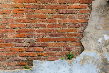 Old grunge and damaged brick wall background