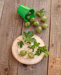 gooseberry