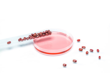 Red beans genetically modified, Plant Cell