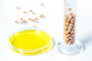 Soybean genetically modified, Plant Cell, Petri Dish