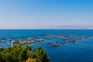 Fish breeding in the sea, Corfu, Greece