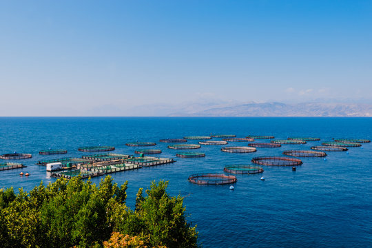 Fish breeding in the sea, Corfu, Greece