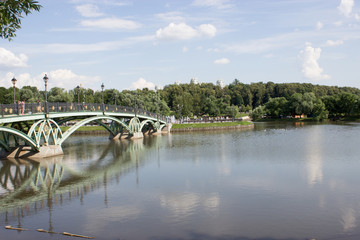 Bridge in the park 