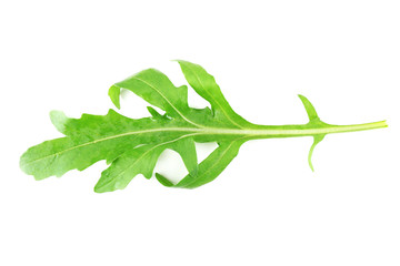 Green arugula leaf isolated on white