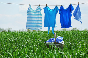 Laundry line with clothes in spring field
