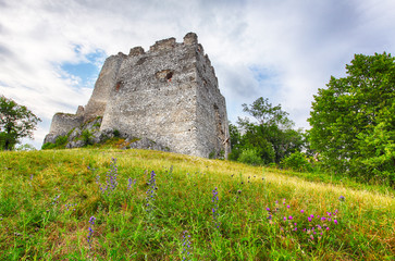 Ruin of castle Tematis, Slovakia nature landscape