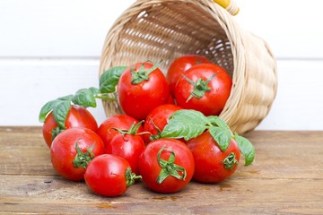 tomatoes