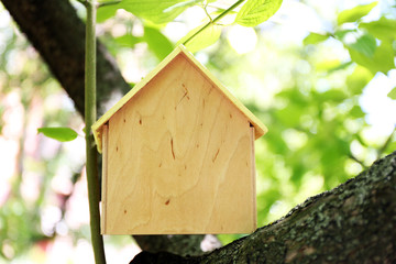 House on tree, close up