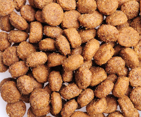 Dry dog food close up, isolated on white background