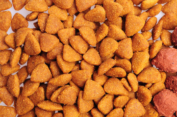 Dry cat food close up background