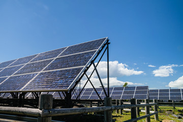 solar power for cocept of sustainable green energy