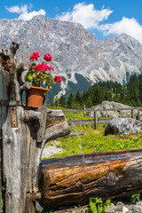 Summer in the Alps
Geraniums on a water fountain with the Wettersteinmassiv in the background
