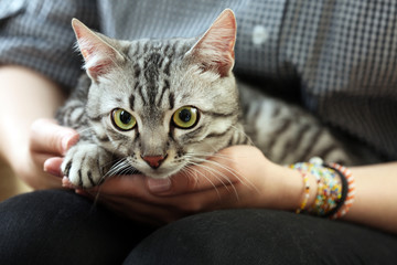 Woman holding cute cat close up