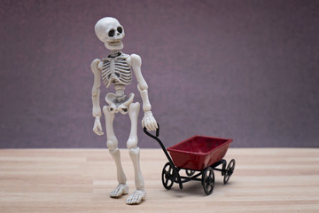 Skeleton playing toy wagon