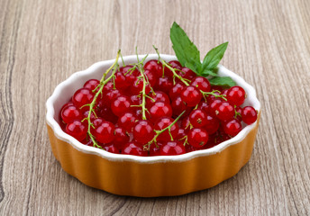 Red currant