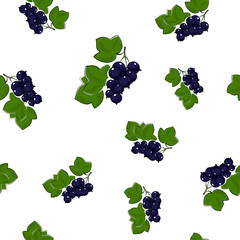 Seamless Pattern of Blackcurrant , Fruit Pattern, Berry Pattern, Vector Illustration
