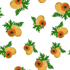 Seamless Pattern of  Papaya , Fruit Pattern,  Vector Illustration