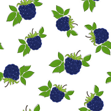 Seamless Pattern of Blackberry , Fruit Pattern, Berry Pattern, Vector Illustration