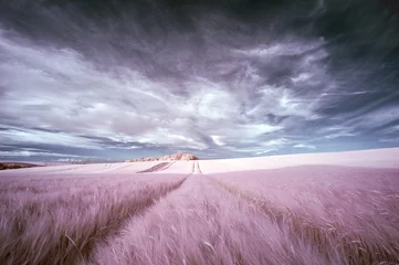 Rolgordijnen Stunning surreal false color infrared Summer landscape over agri © veneratio