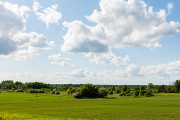 Fototapeta na wymiar beautiful green fields under blue sky in summer