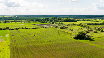 Fototapeta premium beautiful green fields under blue sky in summer