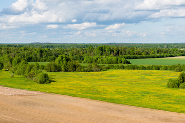 beautiful green fields under blue sky in summer