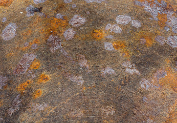  rust