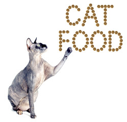 Sphynx cat and the inscription of the feed 'cat food'
