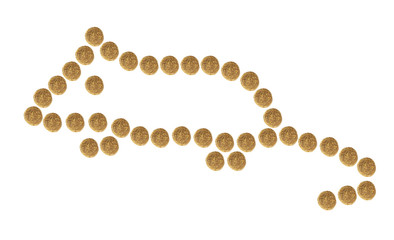 Mouse collected from granules of brown dry pet (cat or dog)food