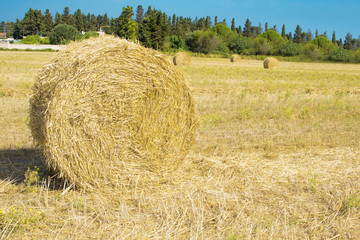 Balla di fieno, paglia, grano