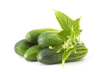 fresh cucumbers