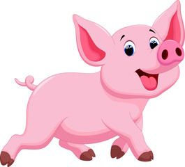 Cute pig cartoon