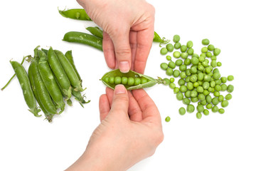 Process of manual cleaning of green peas on white background