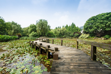 Wooden bridge in the park