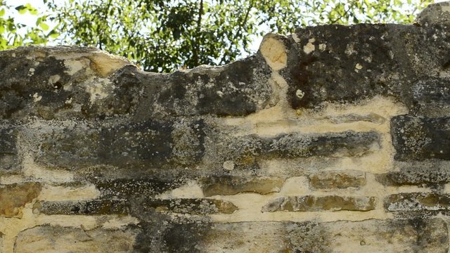 Klostermauer aus dem MIttelalter