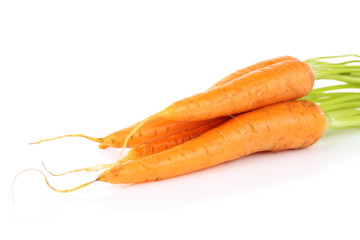 Fresh carrots isolated on white