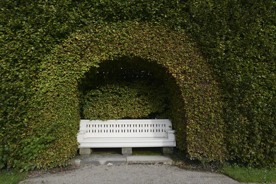 Baden-Baden, gönner plant, Germany - Park bench with a beautiful framing