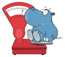 Foto op Canvas A little hippo and a weighing scale. Cartoon © liusa