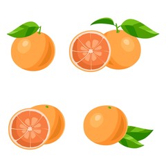 Grapefruit. Vector