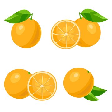Orange. Vector