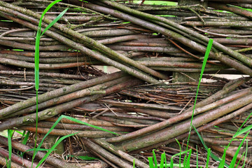 Wicker rustic fence  background