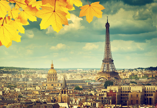 autumn leaves in Paris and Eiffel tower