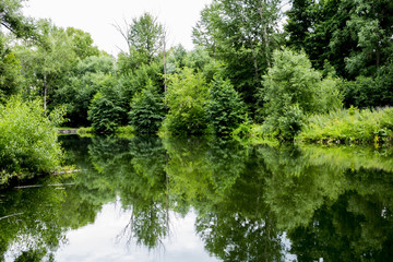 Fototapeta na wymiar Old park with ponds clean. Ponds bushes green trees and bushes. The water in the ponds of spring transparent. Fotoshoot summer on a cloudy day. 