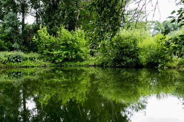 Old park with ponds clean. Ponds bushes green trees and bushes. The water in the ponds of spring transparent. Fotoshoot summer on a cloudy day.

